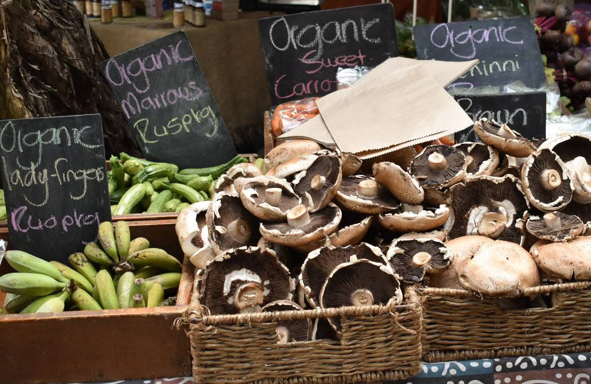 Profile slider image 2